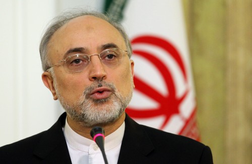 Iranian Foreign Minister Ali Akbar Salehi speaks during a joint press conference with his Armenian counterpart Edward Nalbandian (not seen) in Tehran on April 29, 2012. Salehi said that Iran hopes May 23 talks with world powers in Baghdad over its disputed nuclear programme will result in "success."AFP PHOTO/ATTA KENARE