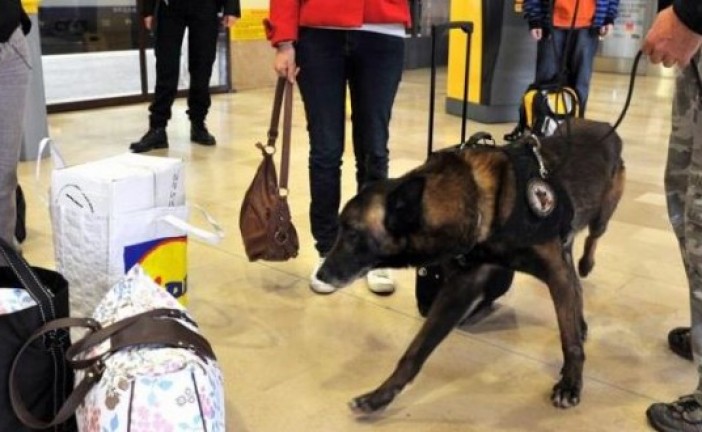 Un touriste français arrêté avec 20 grammes de haschischs à l’aéroport d’Ovda près d’Eilat.