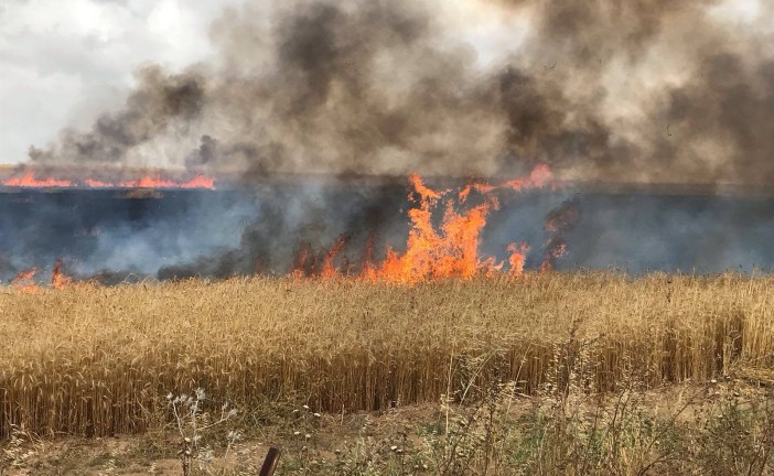 Gaza/Israël: près d’une vingtaine d’incendies déclenchés dans le sud, l’armée riposte