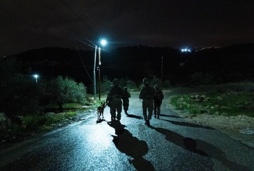 Opération Shover Galim : quatre personnes arrêtées dans toute la Judée-Samarie