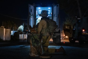 Opération Shover Galim : six personnes arrêtées dans toute la Judée-Samarie