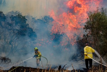 Les incendies qui ravagent la région de Jérusalem pourraient être d’origine terroriste