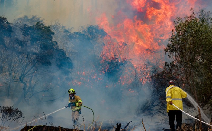 Les incendies qui ravagent la région de Jérusalem pourraient être d’origine terroriste