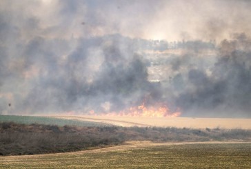 Des incendies violents ravagent la région de Jérusalem, Israël sollicite l’aide de la communauté internationale