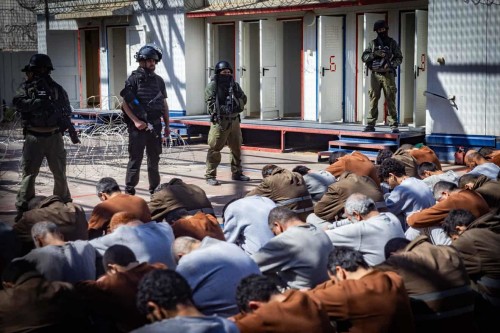 F240214CG36-1320x880[1]