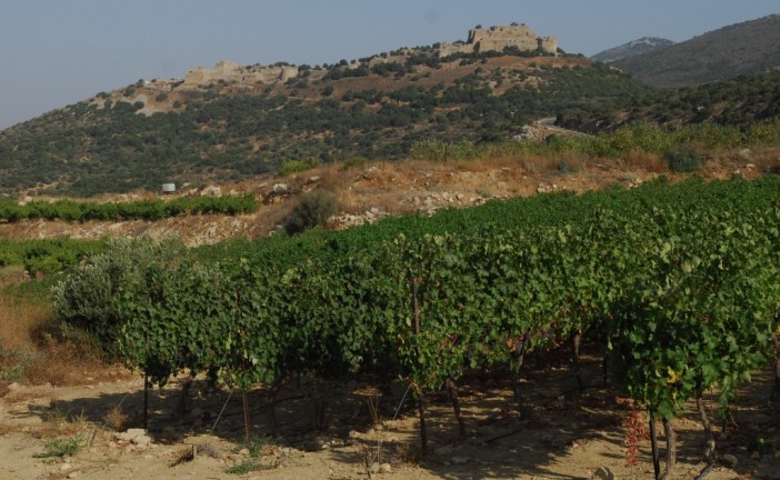 Du pétrole sur les hauteurs du Golan ?