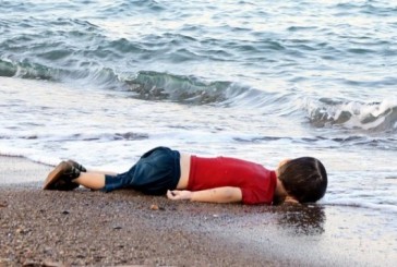 Témoignage de la photographe de l’enfant syrien noyé: « quand je l’ai vu, je suis restée figée, glacée. »