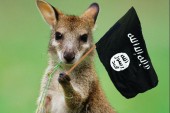 Australie: il a planifié un attentat au kangourou piégé.