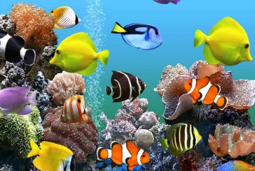 Le premier aquarium d’Israël ouvrira prochainement ses portes au zoo biblique de Jérusalem
