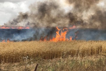 Gaza/Israël: près d’une vingtaine d’incendies déclenchés dans le sud, l’armée riposte