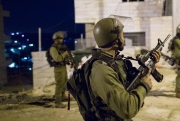 Opération Shover Galim : huit personnes arrêtées dans toute la Judée Samarie
