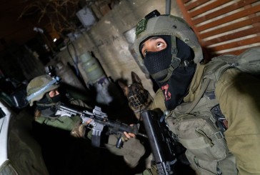 Opération Shover Galim : seize personnes arrêtées dans toute la Judée-Samarie
