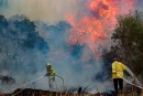 Les incendies qui ravagent la région de Jérusalem pourraient être d’origine terroriste
