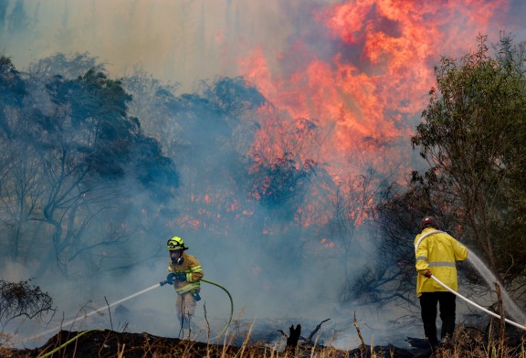 Les incendies qui ravagent la région de Jérusalem pourraient être d’origine terroriste