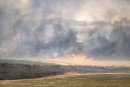 Des incendies violents ravagent la région de Jérusalem, Israël sollicite l’aide de la communauté internationale