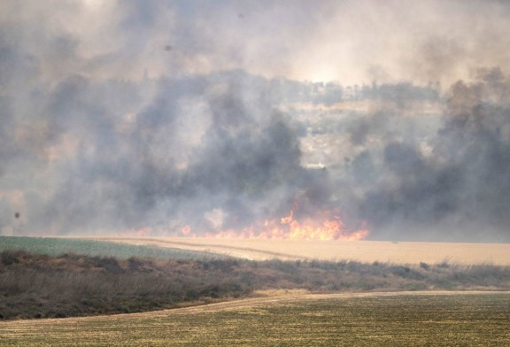 Des incendies violents ravagent la région de Jérusalem, Israël sollicite l’aide de la communauté internationale