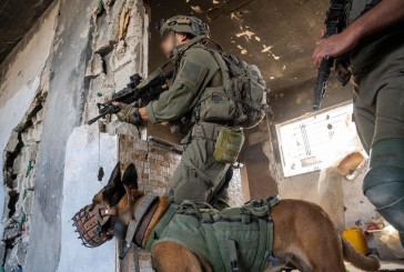 Israël en guerre : les forces de Tsahal attaquent plus de 75 cibles terroristes à Gaza au cours des dernières 24 heures