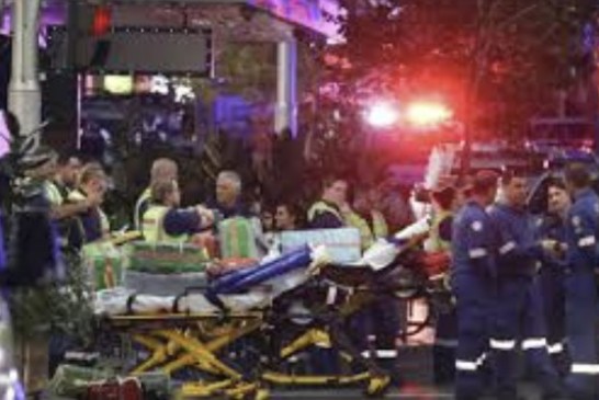 Capture d’écran 2025-12-14 134848